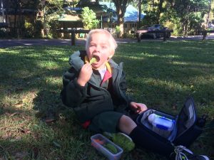 Healthy lunches keep Arlo happy and alert