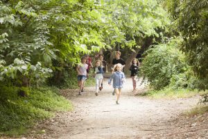 Arlington's rambling garden Preshil school