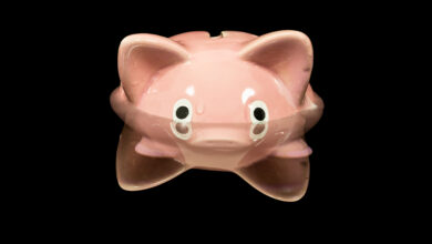 Piggy bank up to its eyeballs in water