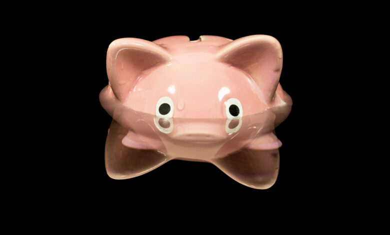 Piggy bank up to its eyeballs in water