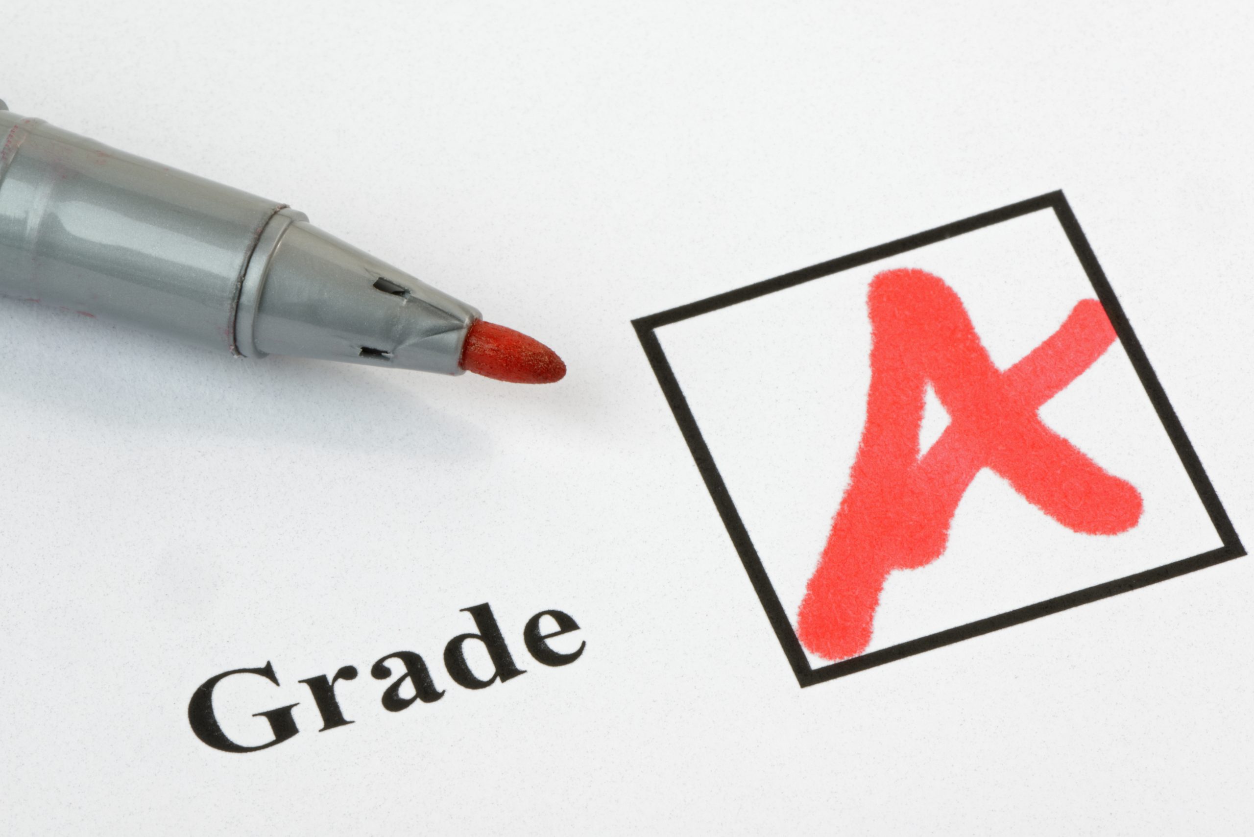What will NAPLAN results reveal SchoolNews Australia
