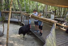 zoos and wildlife parks