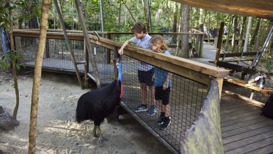 zoos and wildlife parks