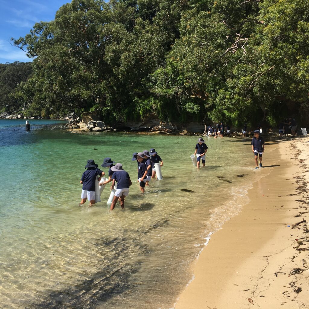 School students walking on secluded beach